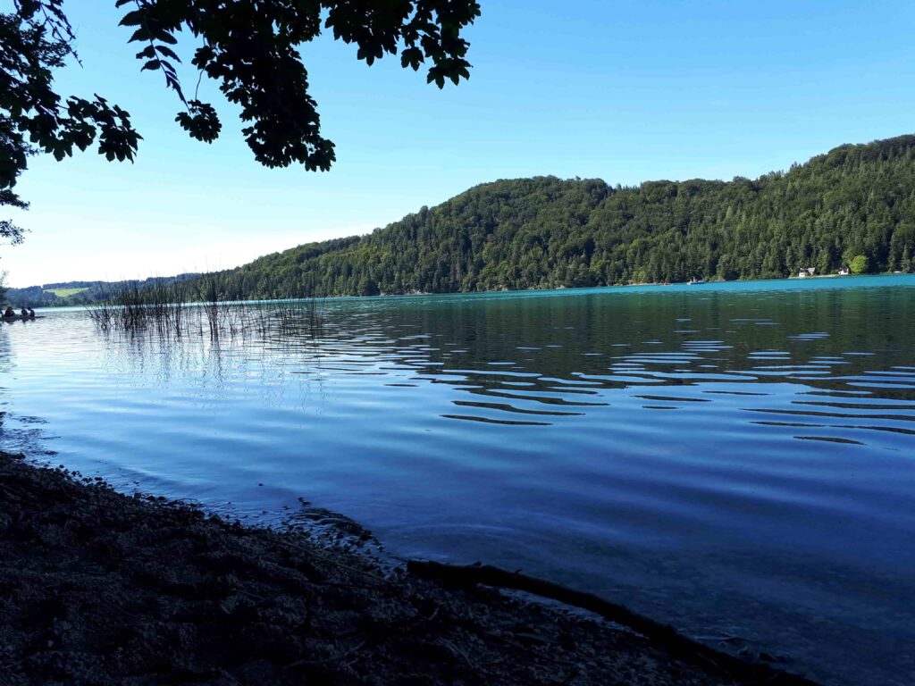 Ein ruhiger See in der Ostschweiz mit sanftem Plätschern spiegelt den blauen Himmel und die grünen bewaldeten Hügel wider; silhouettierte Baumzweige und Laub im Vordergrund evozieren einen stillen Moment des Abschiednehmens.